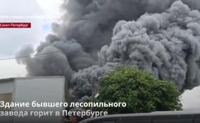 Здание бывшего лесопильного
завода горит в Петербурге