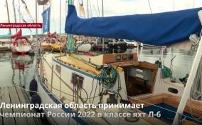 Ленобласть принимает чемпионат России 2022 в
классе яхт Л-6
