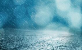 Жителей Ленобласти предупредили о ливнях, грозах и сильном ветре с 28 по 30 июля