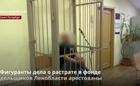 По делу о растратах фонда помощи
дольщикам Ленобласти арестовали двух человек