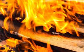 В Гатчинском районе 16 человек тушили пожар на 300 «квадратах»
