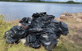 «Команда 47» очистила от мусора остров Малый Высоцкий в Ленобласти