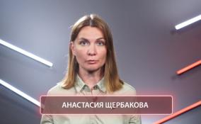 Журналист ЛенТВ24 Анастасия Щербакова стала номинантом на премию правительства Ленобласти