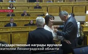 Отличившимся жителям Ленобласти вручили
государственные награды