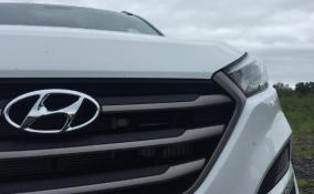 Простой завода автокомпонентов для Hyundai и Kia в Ленобласти продлили до конца лета