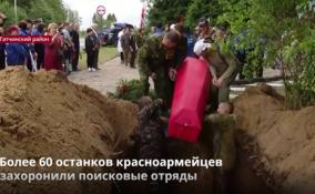 В Ленобласти более 60 останков красноармейцев захоронили поисковые
отряды