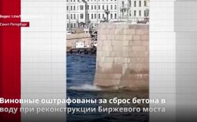 За сброс бетона в Малую Неву при реконструкции Биржевого моста
рабочих оштрафовали