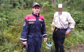 Заблудившегося в лесу Ленобласти мужчину нашли спасатели