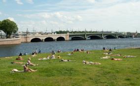 В Петербурге 3 августа будет солнечно и сухо