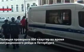 Полиция проверила 800 квартир во время миграционного рейда в Петербурге