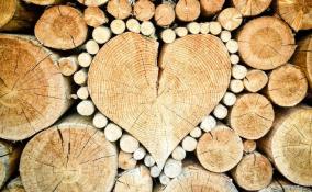 Совет Федерации поблагодарил Ленобласть за поставки Донбассу древесины