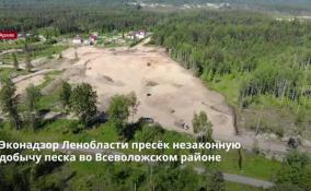 Эконадзор Ленобласти пресёк незаконную добычу песка во Всеволожском районе