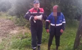 Спасатели Ленобласти помогли заблудившемуся пенсионеру выбраться из леса