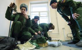 Новости о старте военной мобилизации в Ленобласти оказались фейком