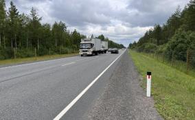 Ещё 30 км трассы «Кола» в Лодейнопольском районе оснастили защитными ограждениями от лосей
