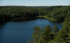 Губернатор Ленобласти поделился атмосферными фотографиями Ястребиного озера в Приозерском районе
