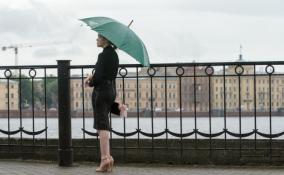 В Петербурге во вторник будет тепло, но дождливо