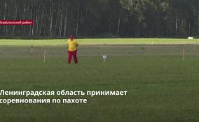 Ленинградская область принимает соревнования по пахоте