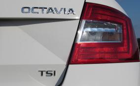 В Шлиссельбурге двое нетрезвых хулиганов угнали "Шкоду" и попали в ДТП