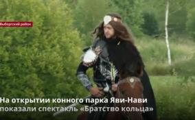 На открытии конного парка Яви-Нави показали спектакль
«Братство кольца»