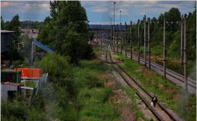 За выходные в Петербурге и Ленобласти под поезд попали двое мужчин