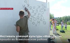 Фестиваль уличной культуры «Молодость» прошёл во
Всеволожском районе