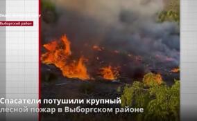 Спасатели потушили крупный
лесной пожар в Выборгском районе
