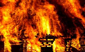 Пожар на даче под Каменногорском унес жизнь человека