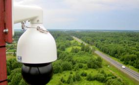 В лесах Ленобласти установили 57 новых камер видеонаблюдения