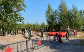 В Выборгском районе перезахоронили останки 41 красноармейца, погибшего в годы Советско-финляндской войны
