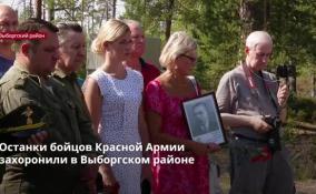 Останки бойцов Красной Армии захоронили в Выборгском
районе