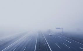 Жителей Ленобласти предупредили о грозах, тумане и жаре с 22 по 24 августа