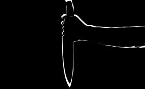 В Петергофе пьяный мужчина с ножом напал на 13-летнюю девочку и порезал ей лицо