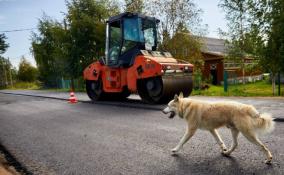 В Тихвинском районе досрочно завершается ремонт дороги на Шугозеро