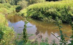 В Гатчинском районе заметили сброс сточных вод в реку Суйду