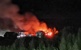 Появились фотографии охваченной пламенем бани в Сосновом Бору
