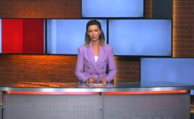 Сотрудники ФСБ задержали
петербуржца по делу о взятке