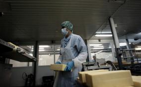 В Гатчинском районе появится новый завод по производству сыров