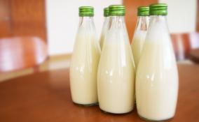 В Ленобласти создадут линию производства по разливу молока в отечественные бутылки