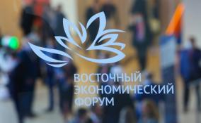 Делегации из недружественных стран приедут на Восточный экономический форум во Владивостоке