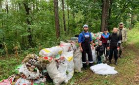 Из леса в Новой Ладоге добровольцы вывезли 25 мешков строительного мусора