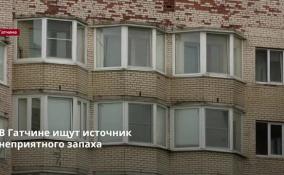 В Гатчине ищут источник
неприятного запаха