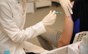 В Ленинградской области стартовала прививочная кампания против гриппа
