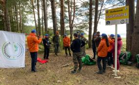 В Ленобласти 200 туристов пройдут 37 километров маршрута «Тропа южного берега» за 3 дня