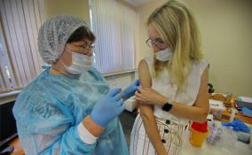 В поликлиники Ленобласти поставили дефицитные препараты для вакцинации
