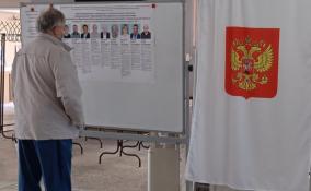 В Ленобласти завершились двухдневные муниципальные выборы