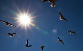 Жителей Петербурга 12 сентября ожидает тёплая погода без дождей