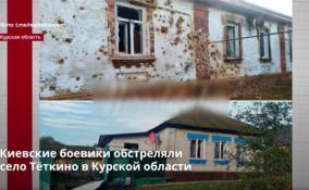 Киевские боевики обстреляли
село Тёткино в Курской области