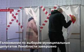 Голосование по выборам муниципальных депутатов Ленобласти
завершено