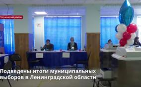 Подведены итоги муниципальных
выборов в Ленобласти